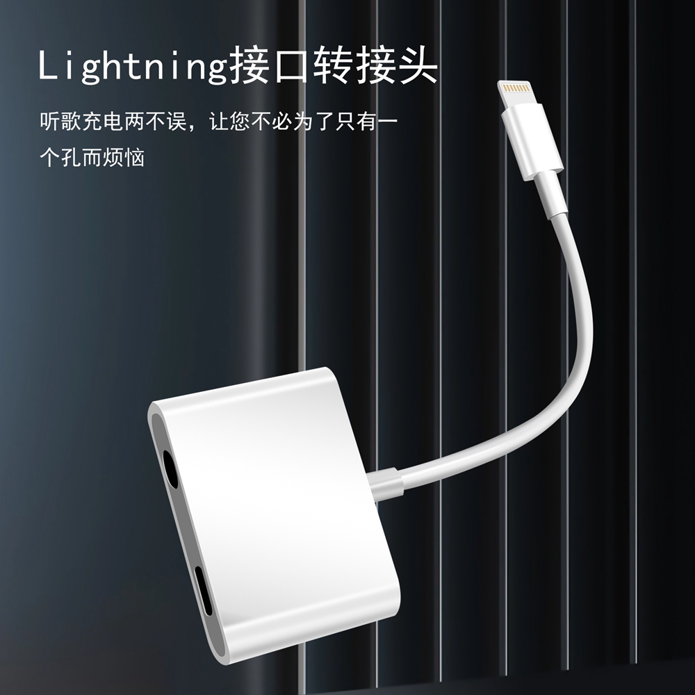 苹果转接头